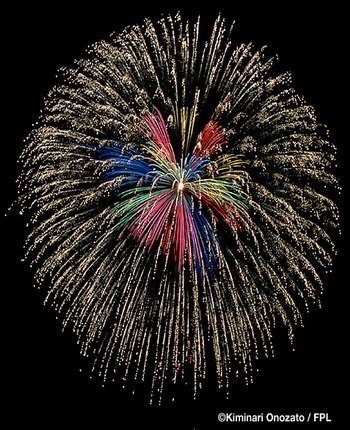 orchid in spangle chrysanthemum